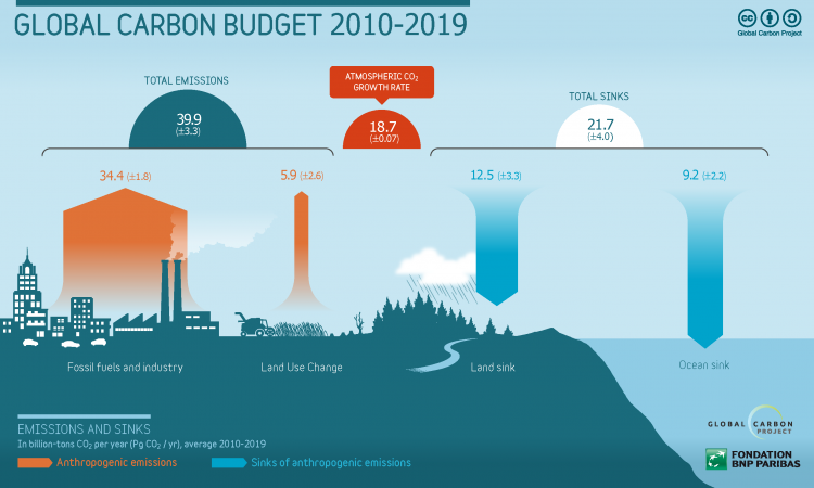 Carbon budget 2010-2019